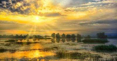  Sonnenaufgang im Nationalpark Kopacki Rit, Kroatien