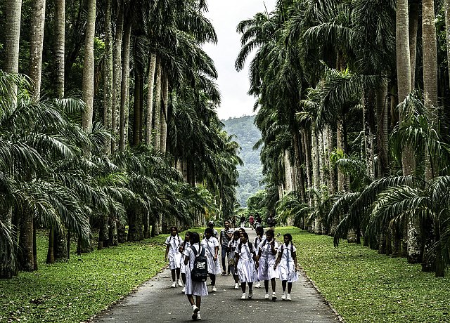 Mädchenschulkinder in Sri Lanka