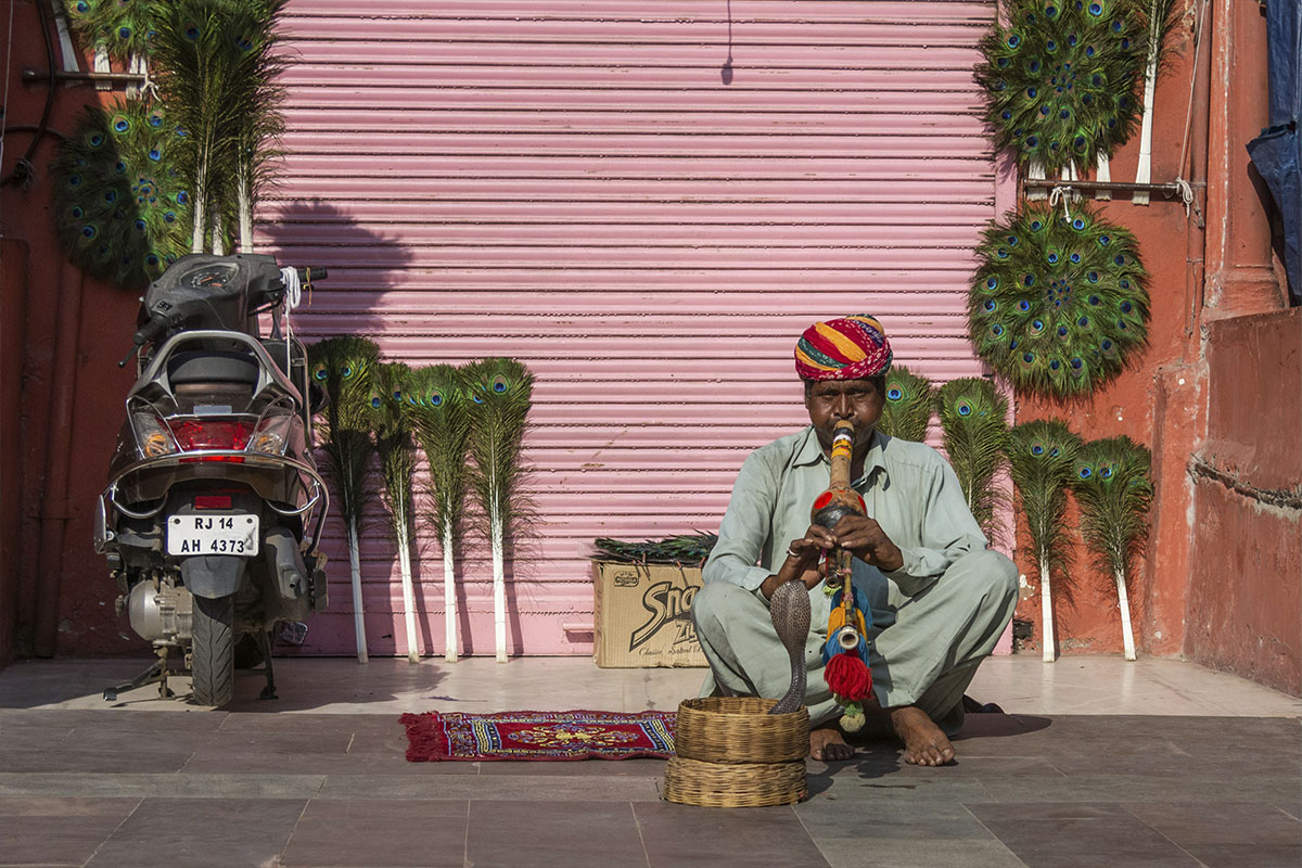 Schlangenbeschwörer in Indien