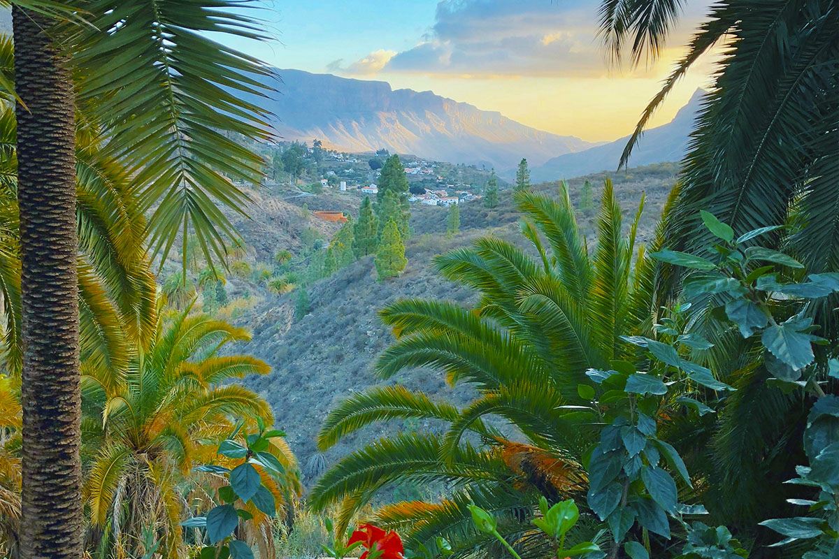 Gran Canaria, Dschungel