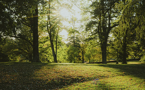 Mecklenburg-Vorpommern